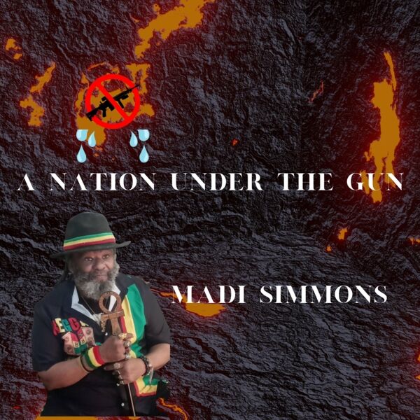 Cover art for A Nation Under the Gun