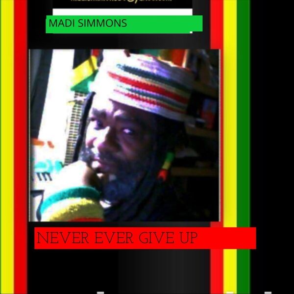Cover art for Never Ever Give Up